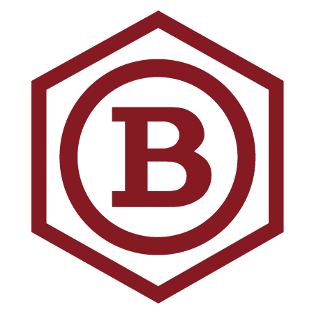 Favicon Boldtimer AG